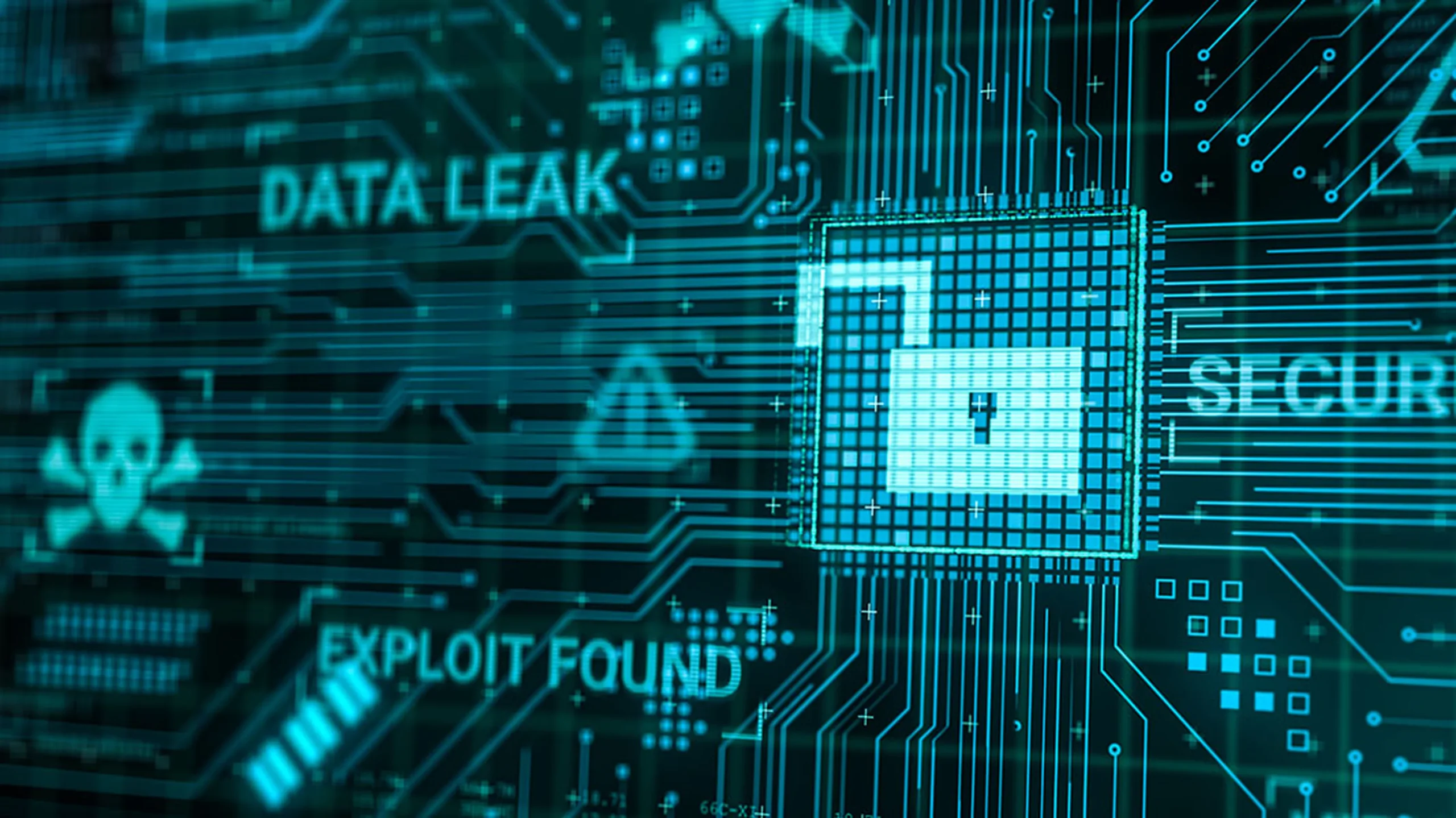 How to Check Internet Data for Leaks Before Signing Up for a New Online Service